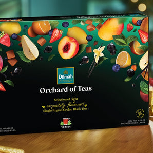 Gift of Tea Celebrations Fun Teas Gift Pack (80 Individually Wrapped Tea Bags)