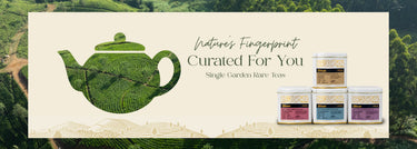 Single Garden Rare Teas