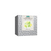 Vivid Fragrant Jasmine Green Tea Refill Box - 100g Loose Leaf